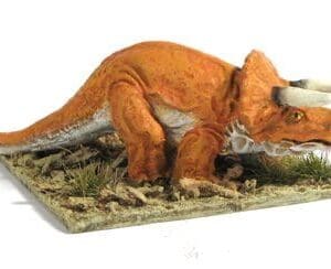 Triceratops