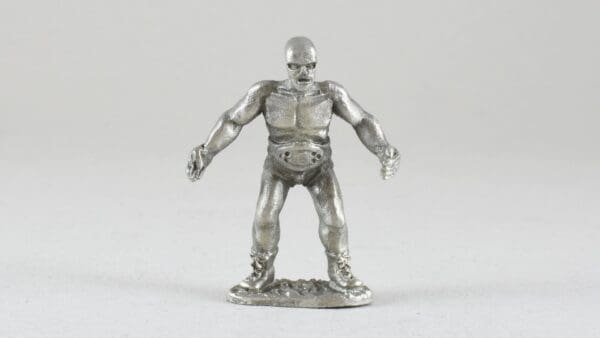 Mexican Wrestler I La Cucaracha