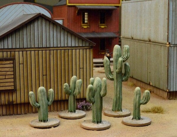 Cacti