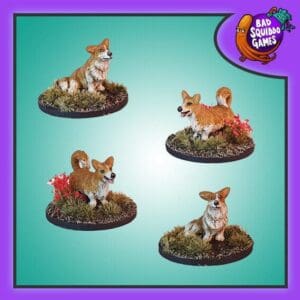Corgis