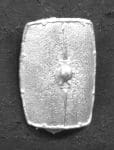 Clipped Roman Scutum (12)