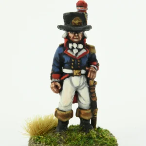 Republican Volunteer Officer