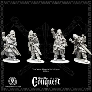 Viking Warriors (Hirdmen) in Mail with Spears I