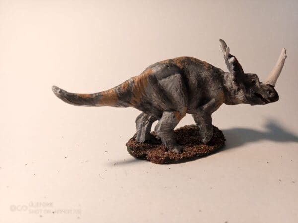 Adult Styracosaurus - Image 2