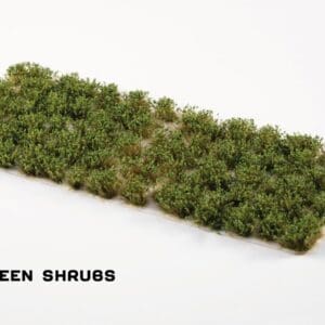 Strong Green Shrubs