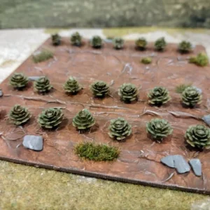 2 Vegetable Garden Plots