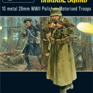 Polish 10 Motorised Brigade Squad
