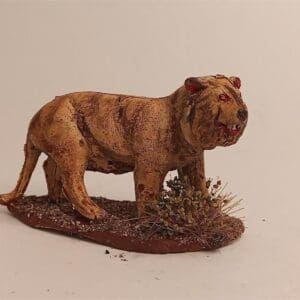 Cave Lion