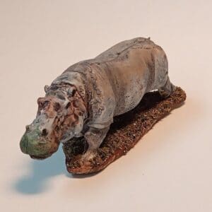 Hippopotamus